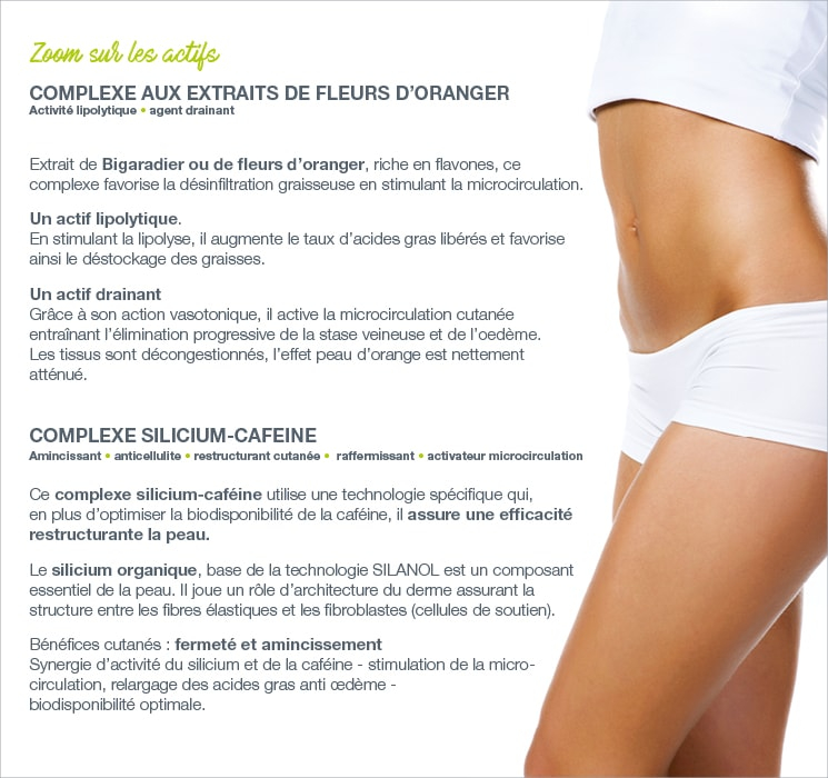 zoom sur les actifs