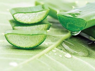 LES VERTUS DE L'ALOE VERA